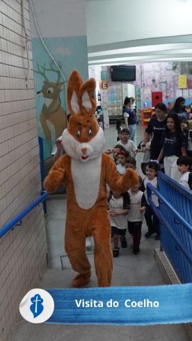 Visita do Coelho - S�o Paulo da Cruz  Rede Passionista de Educa��o