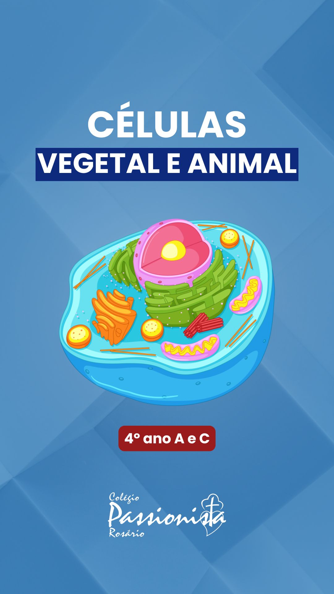 C�lula Animal e a C�lula Vegetal - 4� ano A e C - Ros�rio Rede Passionista de Educa��o
