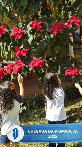 Chegada da Primavera 2025 - S�o Paulo da Cruz Rede Passionista de Educa��o