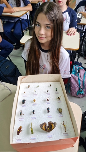 8� Ano - Artr�pode - S�o Jos� Rede Passionista de Educa��o