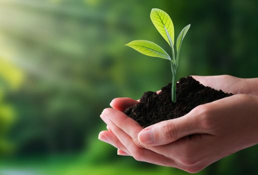 Ra�zes de Nossa Hist�ria: Plantando o Futuro (21/09) - S�o Paulo da Cruz Rede Passionista de Educa��o