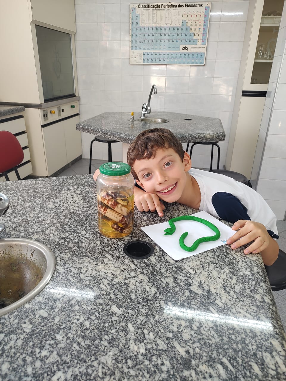 3� ano - Laborat�rio - Santa Gema Rede Passionista de Educa��o