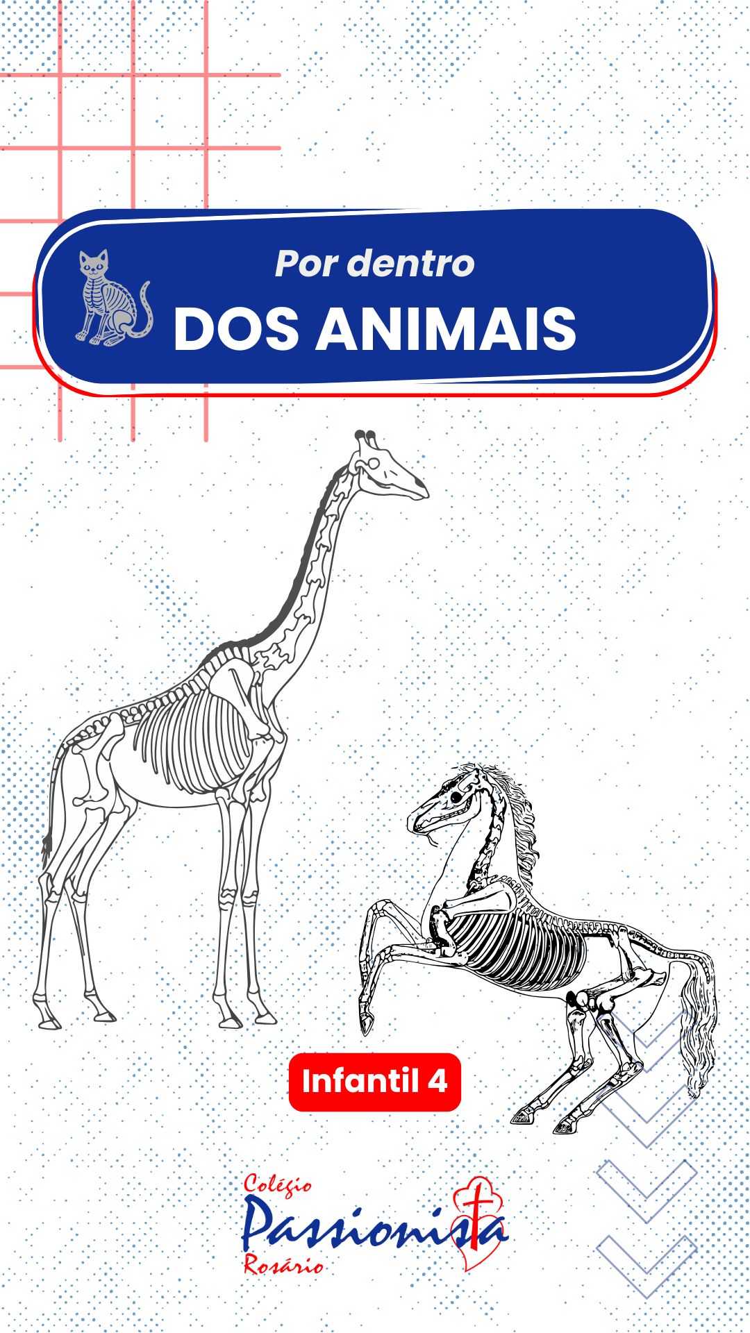 Explorando os Segredos do Corpo dos Animais - Infantil 4 - Ros�rio Rede Passionista de Educa��o