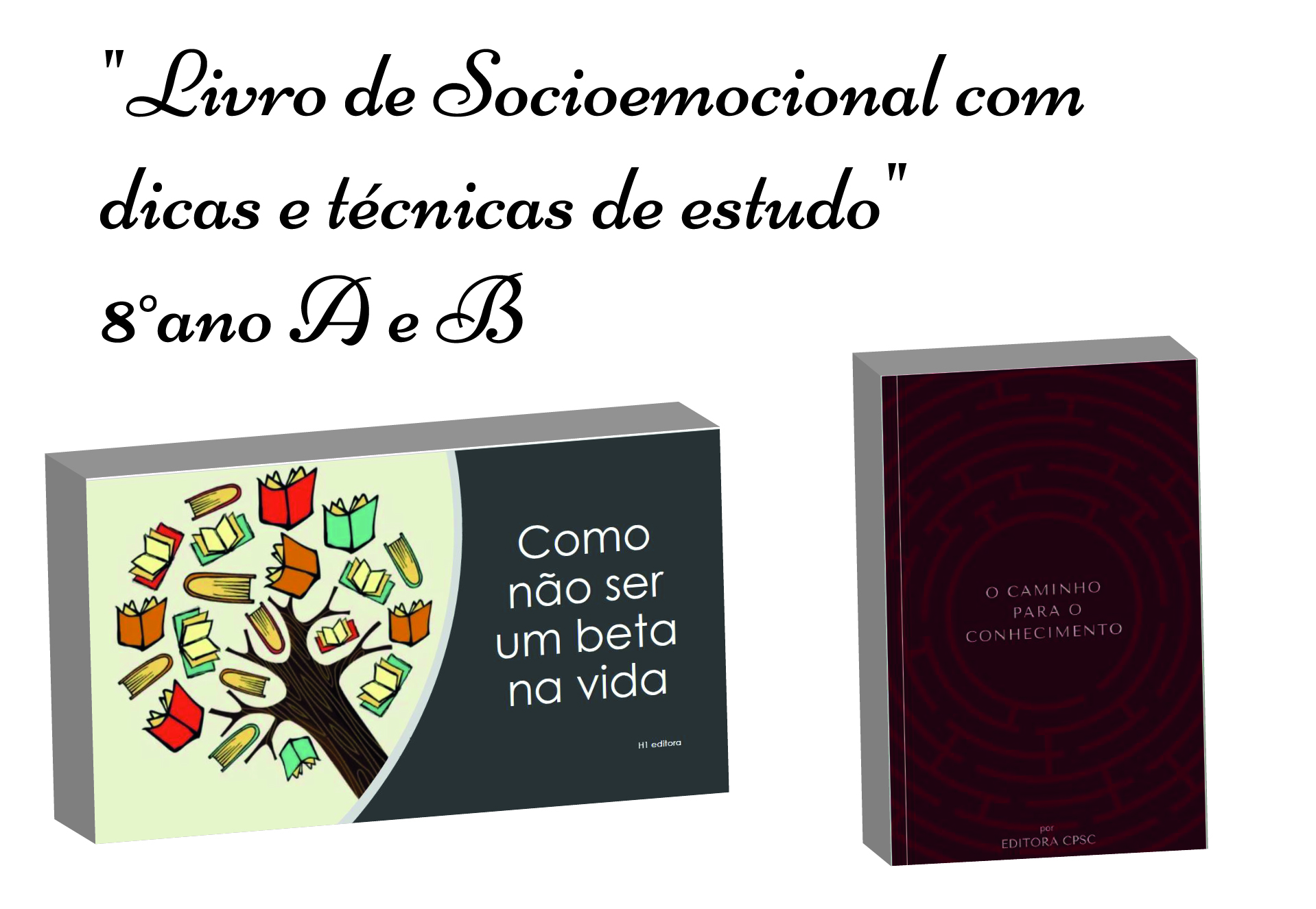 Livro - T�cnicas e sugest�es de estudo para Socioemocional - 8os anos A e B - S�o Paulo da Cruz Rede Passionista de Educa��o