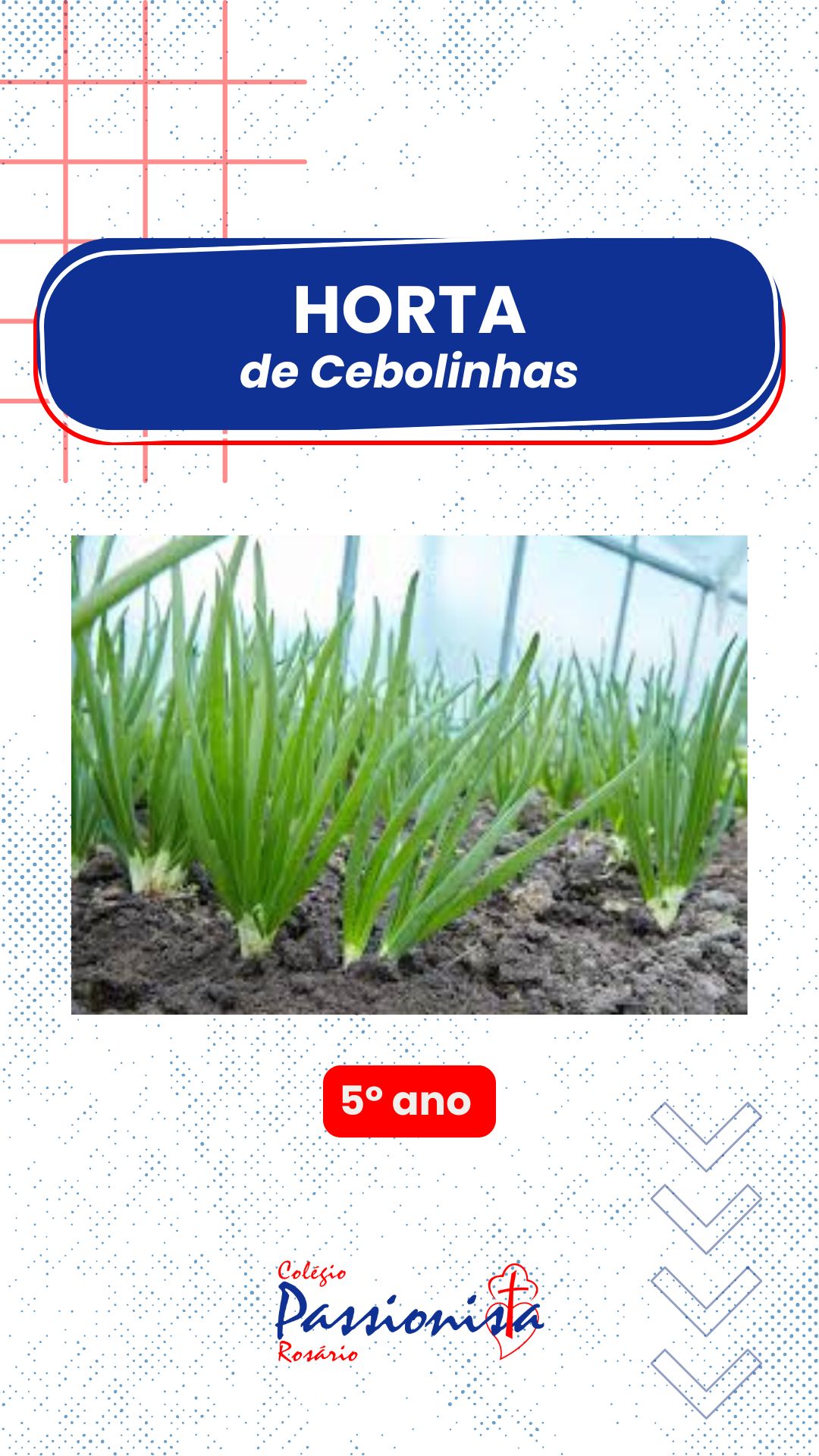 Horta de Cebolinhas: cultivando valores e conhecimento - 5� ano - Ros�rio Rede Passionista de Educa��o