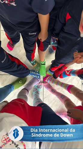 Dia Internacional da S�ndrome de Down - S�o Paulo da Cruz Rede Passionista de Educa��o