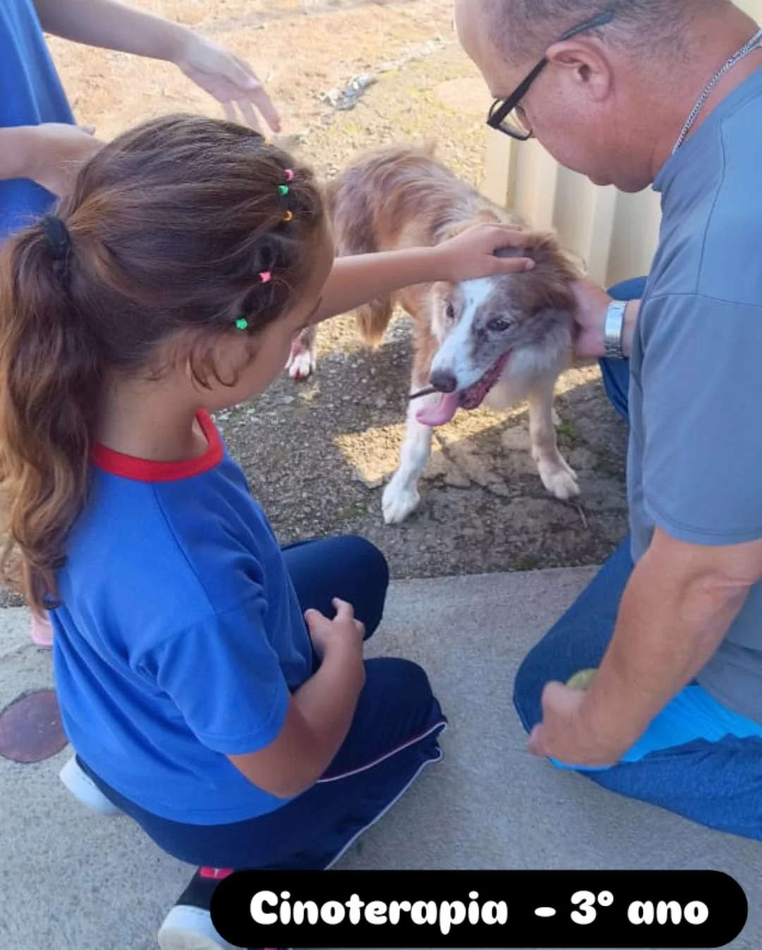 Cinoterapia - 3� Ano - Santa Luzia Rede Passionista de Educa��o