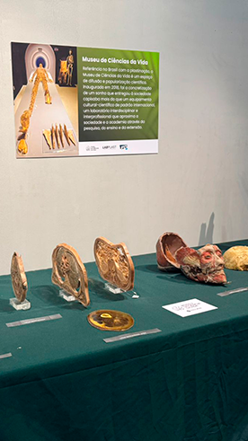 Viagem de estudos ao Museu Mello leit�o em Santa Teresa - Jo�o XXIII Rede Passionista de Educa��o