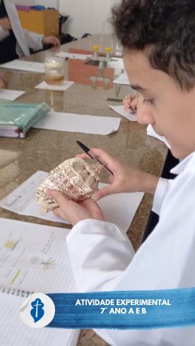 Atividade experimental - 7� Ano A e B - S�o Paulo da Cruz Rede Passionista de Educa��o