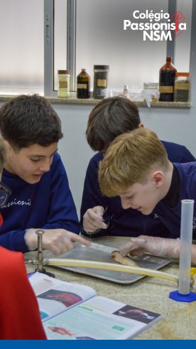 Pr�tica no Laborat�rio! - Nossa Senhora Menina Rede Passionista de Educa��o