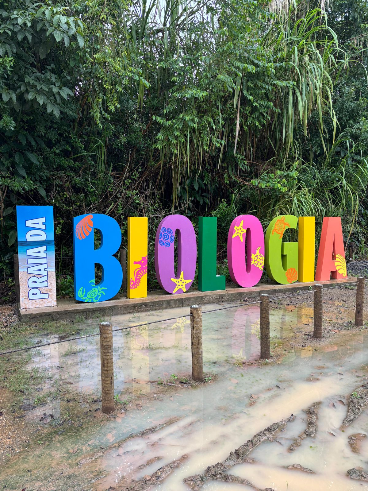 Viagem de estudo do 5 ano � Esta��o de Biologia Marinha Augusto Ruschi - Jo�o XXIII Rede Passionista de Educa��o