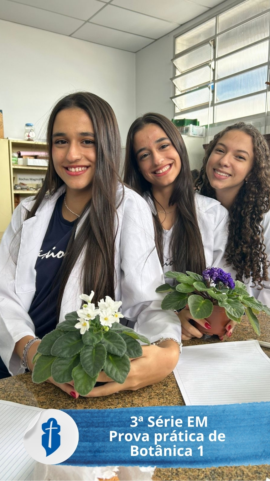 Biologia 3� S�rie do EM - Prova pr�tica de Bot�nica 1 - S�o Paulo da Cruz Rede Passionista de Educa��o