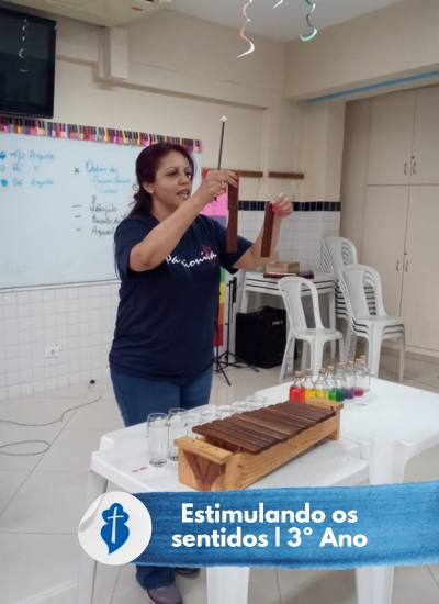 Estimulando os Sentidos - 3� Ano - S�o Paulo da Cruz Rede Passionista de Educa��o