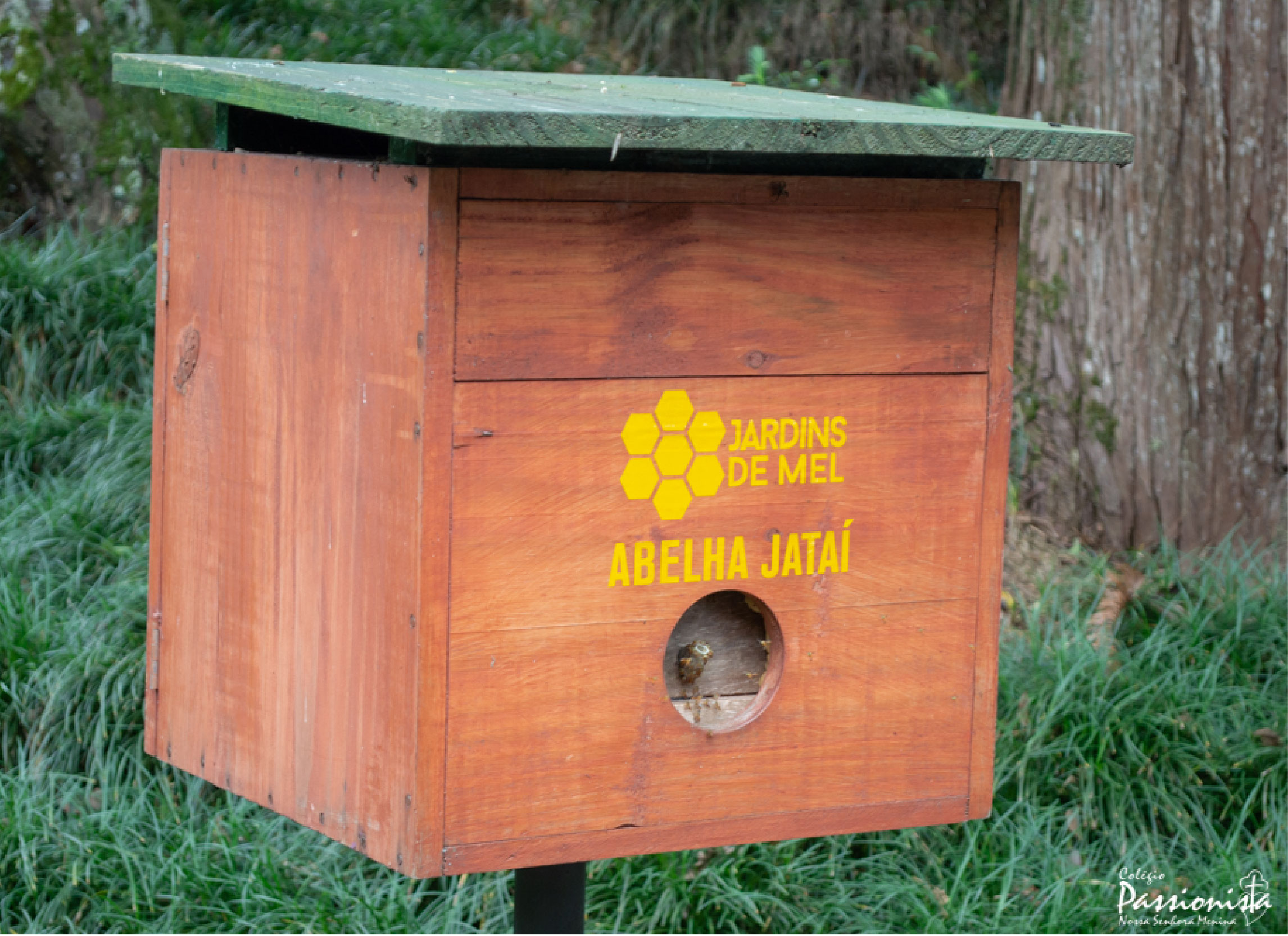 Galerinha do 1� ano no IPPUC! - Nossa Senhora Menina Rede Passionista de Educa��o