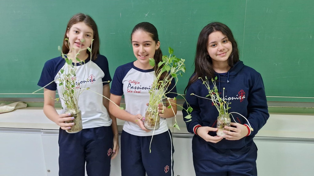 7� Ano - Germina��o - S�o Jos� Rede Passionista de Educa��o