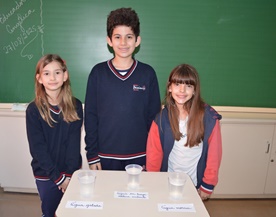 4� Ano A e B - Experimentando Sensa��es de Frio e Quente - S�o Jos� Rede Passionista de Educa��o