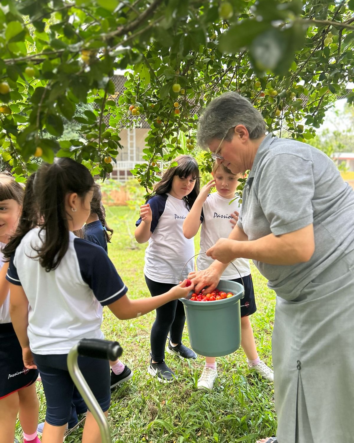 O parquinho foi diferente para o 2 � ano! - Nossa Senhora Menina Rede Passionista de Educa��o