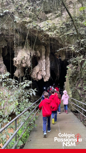 Sa�da Pedag�gica - Imigra��o Italiana e Natureza Viva! - Nossa Senhora Menina Rede Passionista de Educa��o