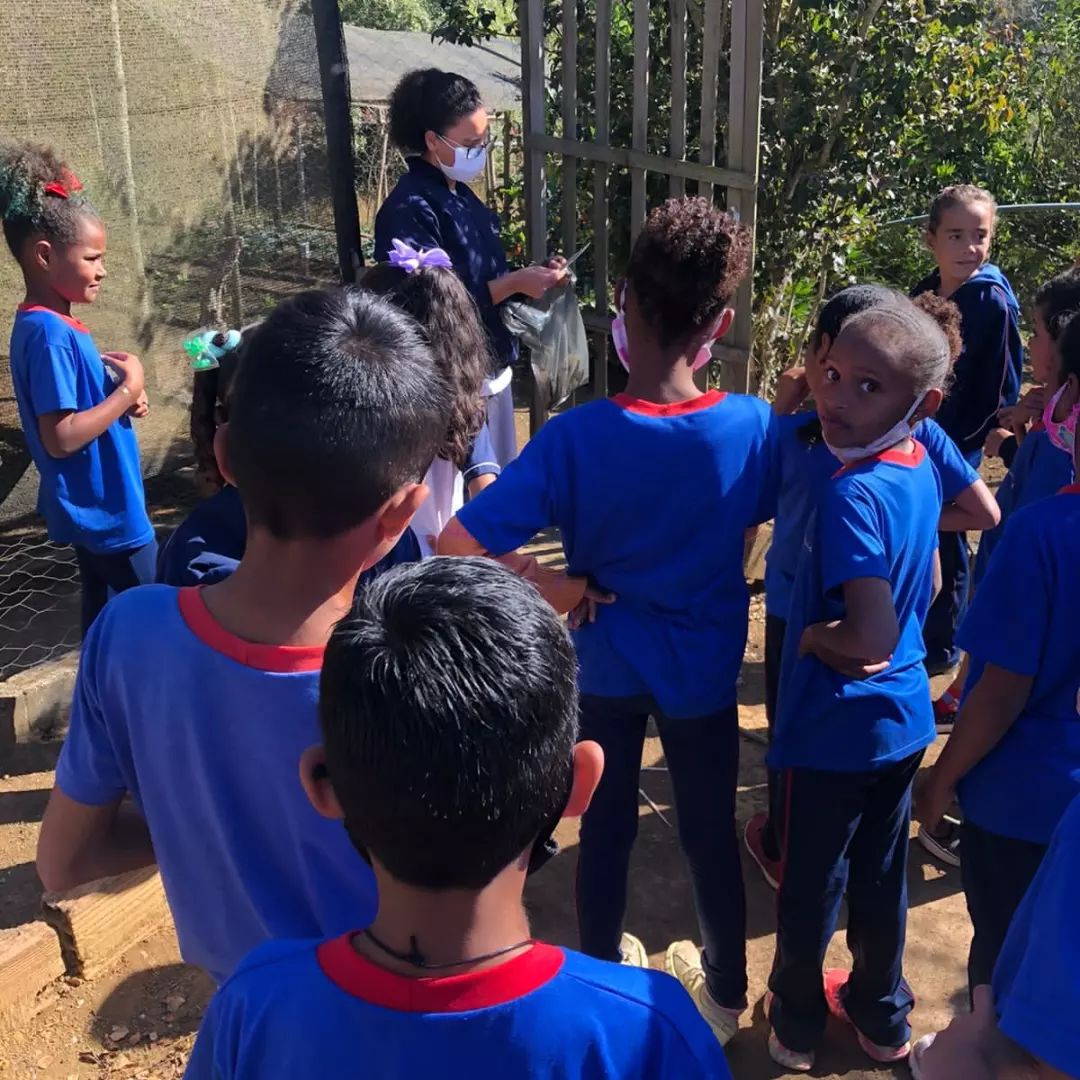 Projeto Horta - Santa Luzia Rede Passionista de Educa��o