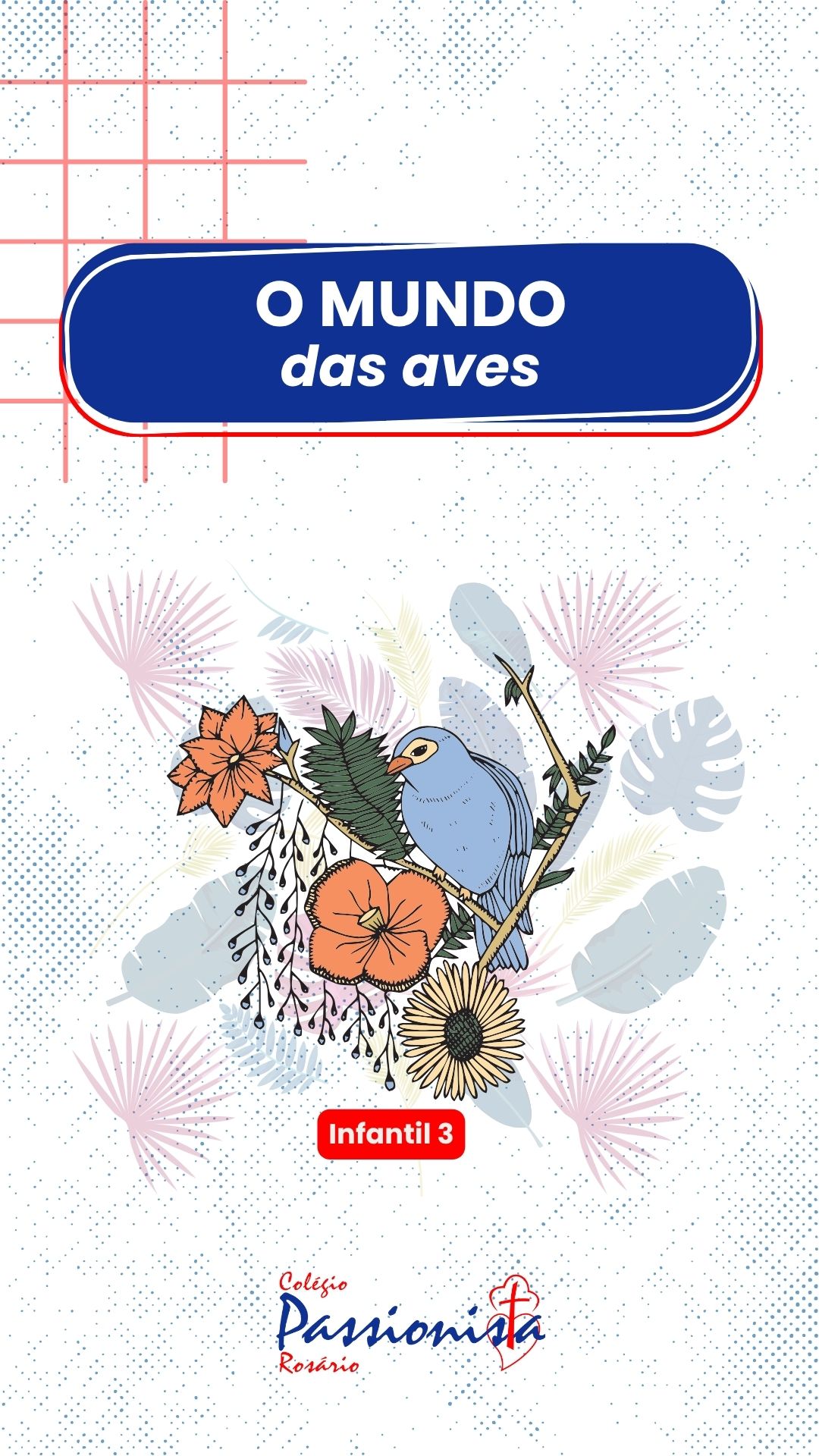 Descobrindo o Mundo das Aves - Infantil 3 - Ros�rio Rede Passionista de Educa��o