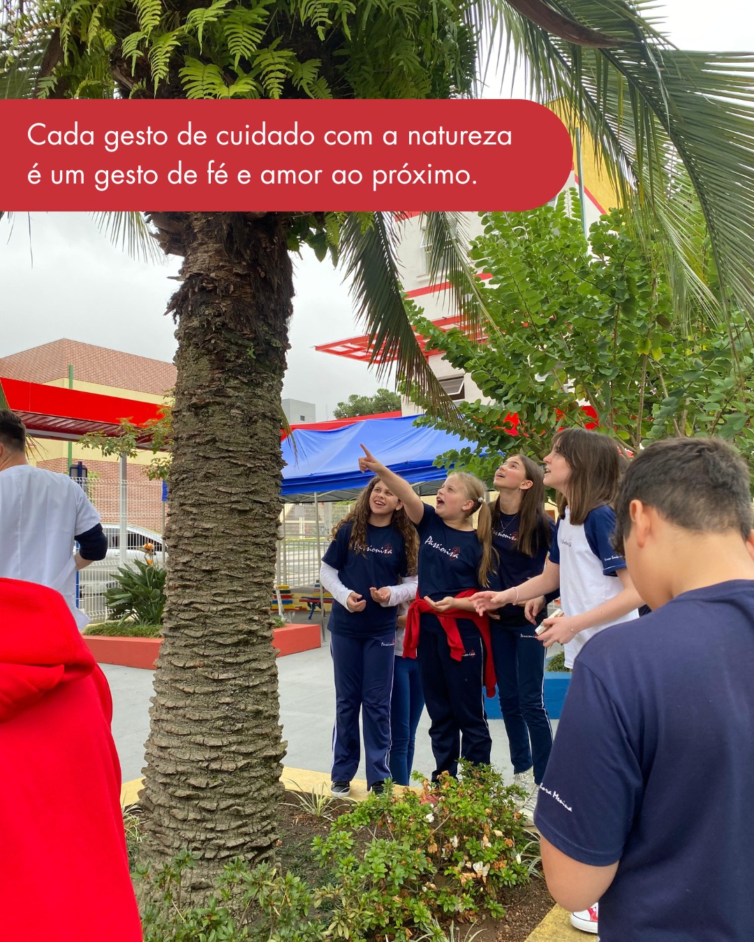 Cuidar do nosso planeta tamb�m � um ato de amor - Nossa Senhora Menina Rede Passionista de Educa��o