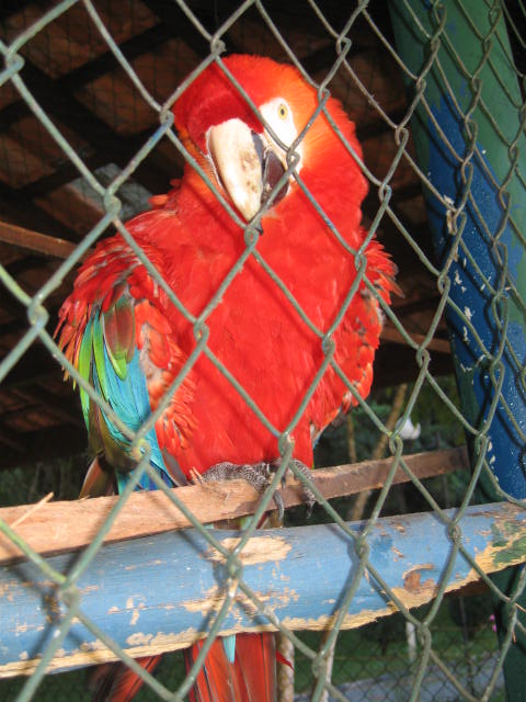 Encontro de Coordenadores e Orientadores da Rede Passionista Rede Passionista de Educa��o