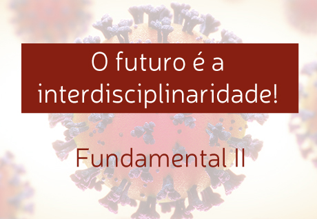 O futuro � a interdisciplinaridade! - S�o Paulo da Cruz Rede Passionista de Educa��o