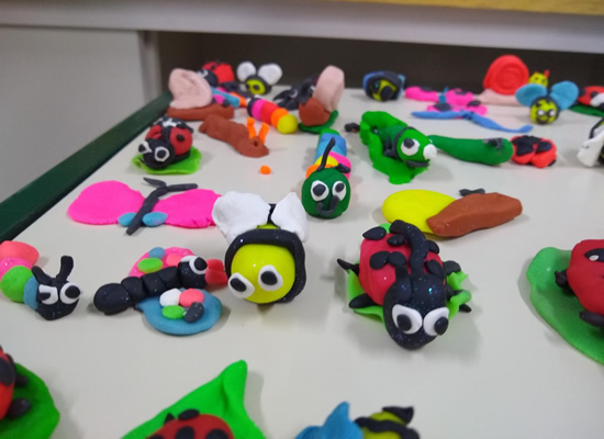 Invertebrate Animals - Ros�rio  Rede Passionista de Educa��o